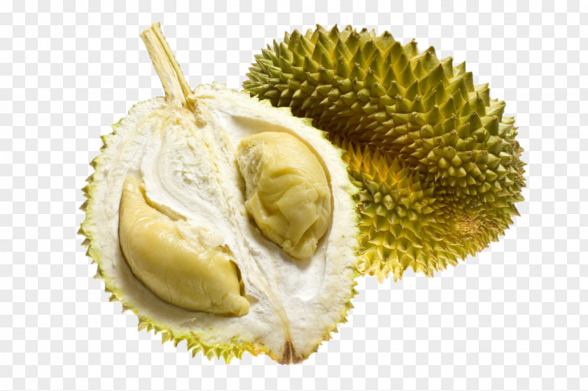 Durian Asian Cuisine Escamol Fruit Food PNG