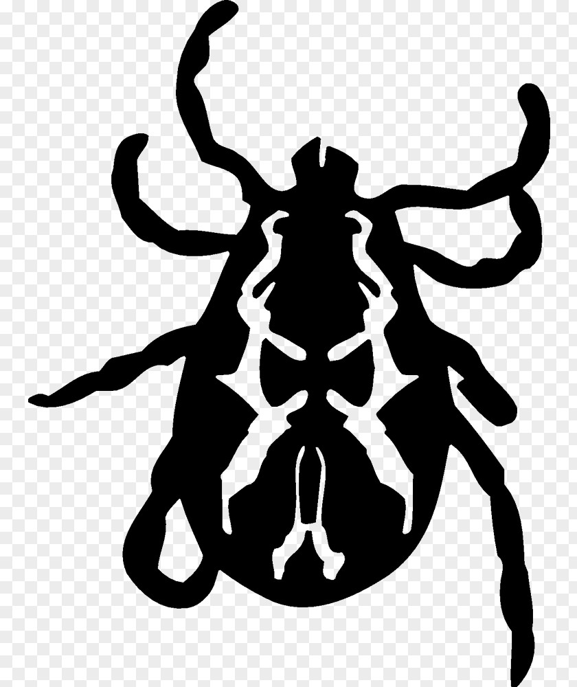 Tick Clip Art PNG