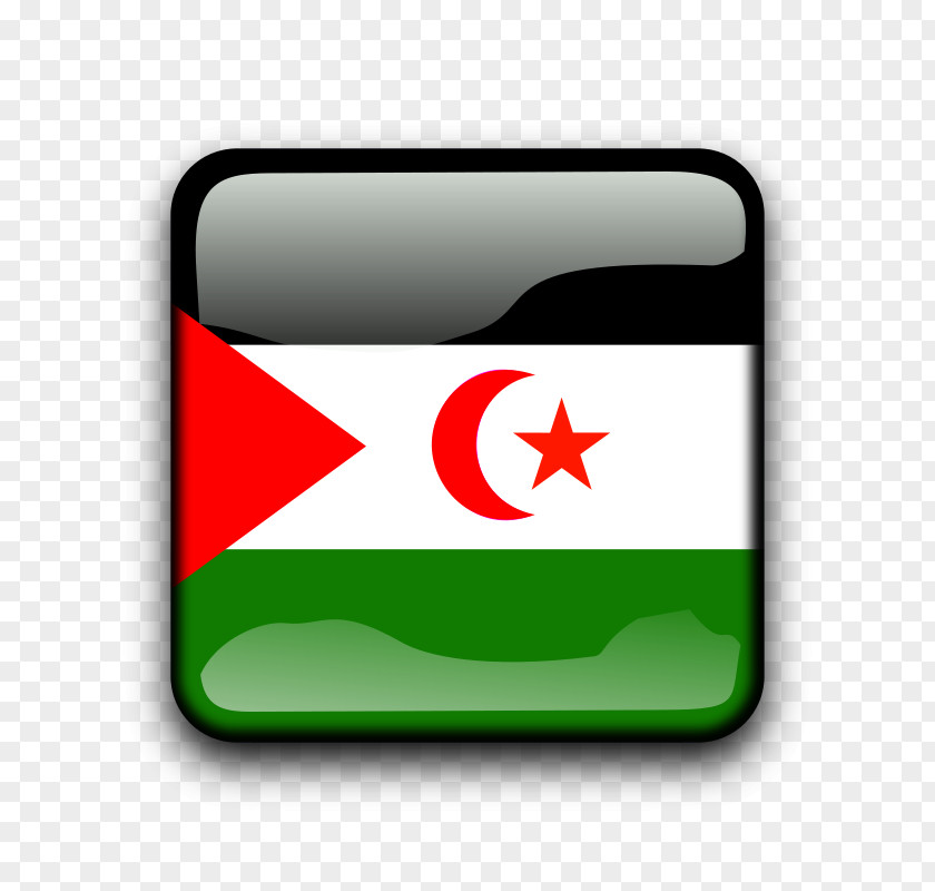 Flag Of Western Sahara Vector Graphics Clip Art PNG