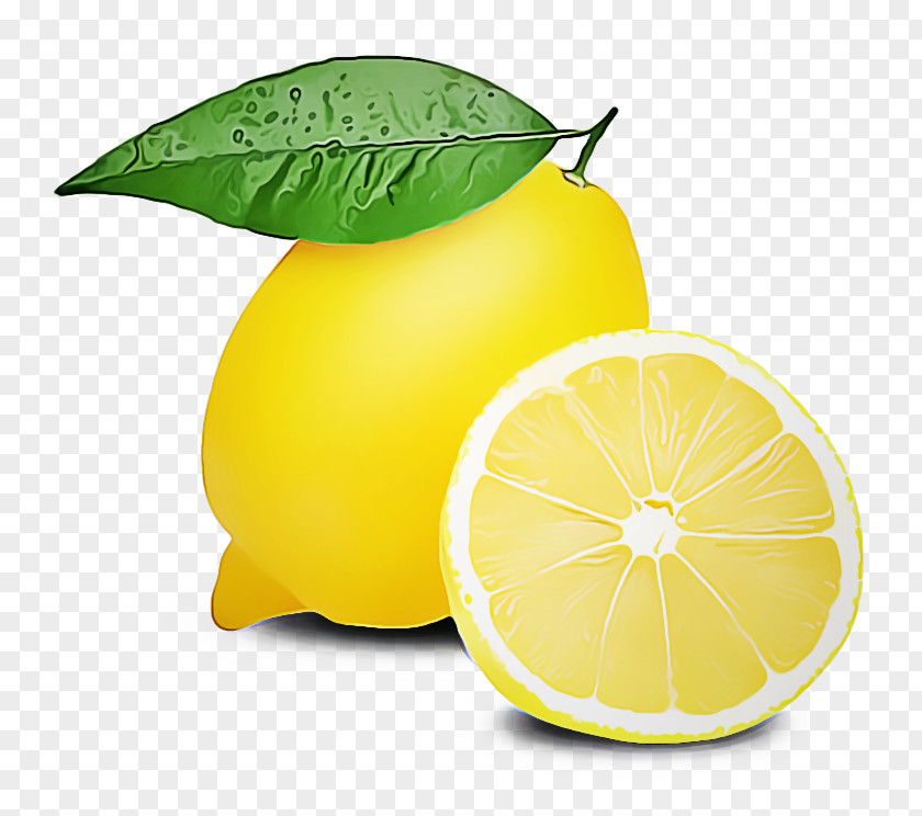 Grapefruit Leaf Citrus Lemon Yellow Lemon-lime Fruit PNG