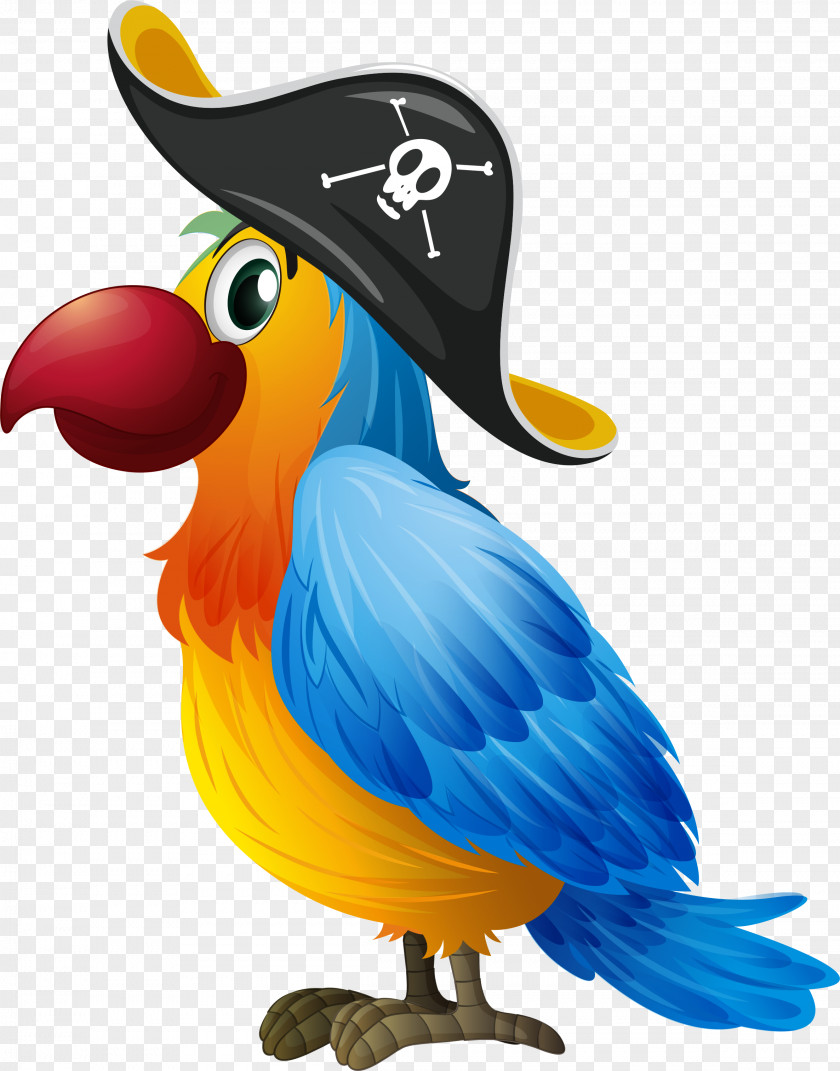 Parrot Amazon Drawing Clip Art PNG