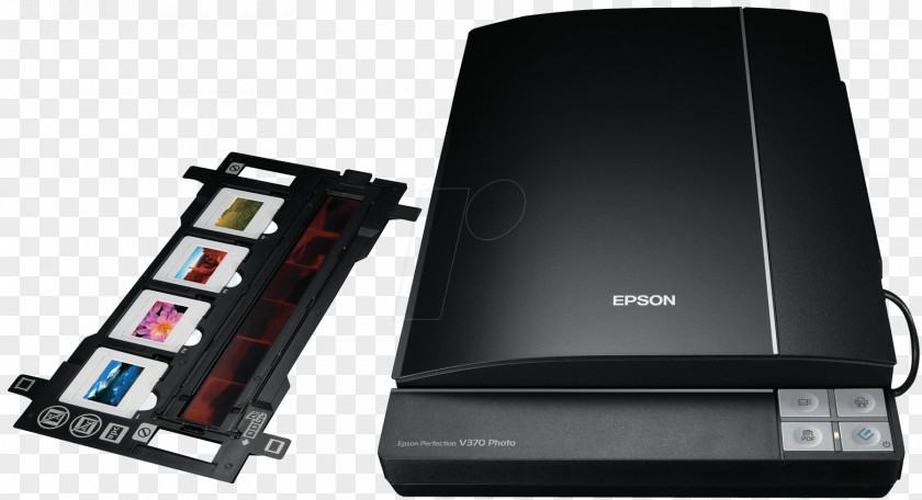 Scanner Photographic Film Image Epson Reversal PNG