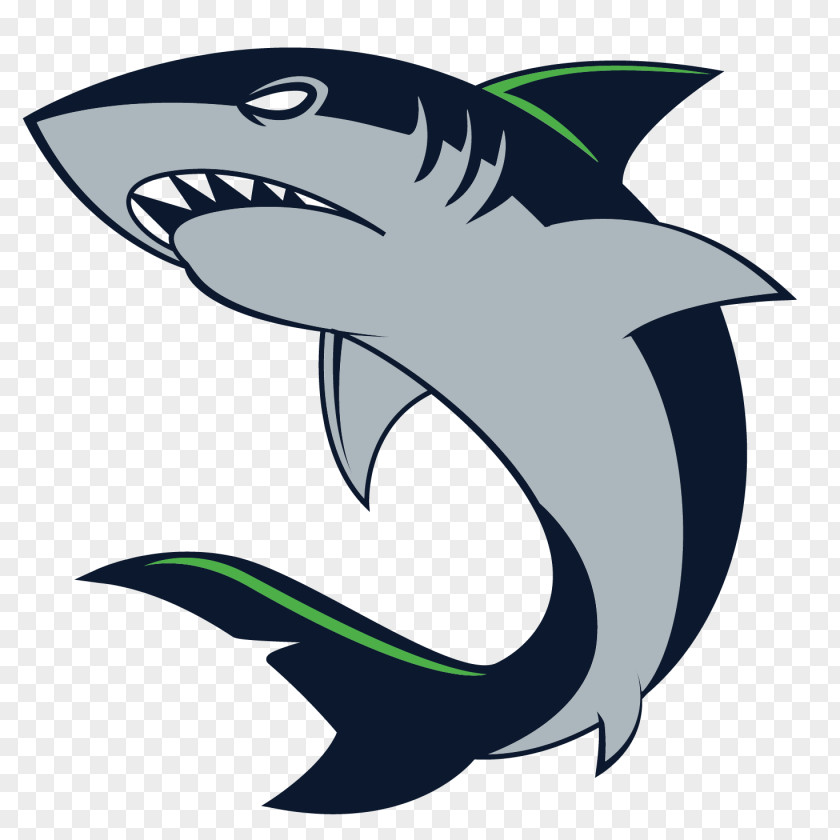 Shark Vector Graphics Illustration Clip Art Drawing PNG