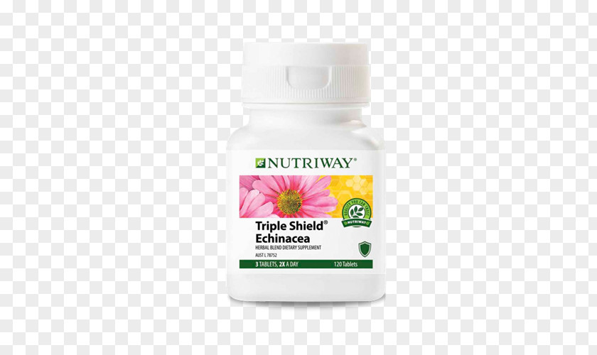 Amway Singapore Dietary Supplement Nutrilite Coneflower PNG