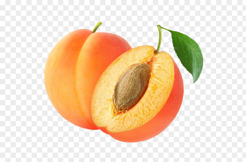 Apricot Transparent Background Kernel Amygdalin Fruit Almond PNG