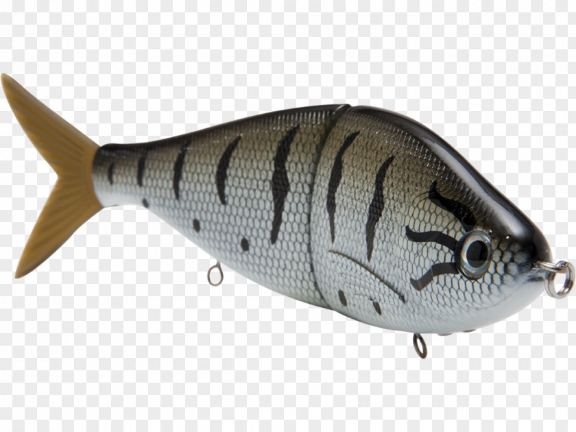 Fishing Spoon Lure Baits & Lures Recreational Predatory Fish PNG