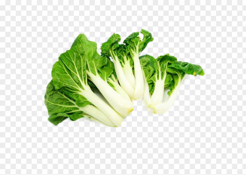 Green Leafy Vegetables Chinese Cabbage Romaine Lettuce Napa Leaf Vegetable PNG