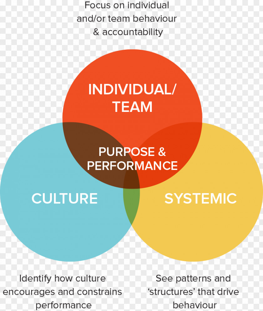 Lens Drawing Organizational Culture Logo Leadership Organization Development PNG