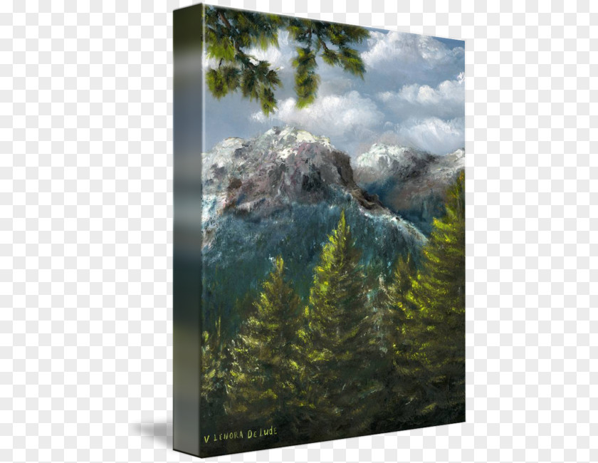 Rocky Mountain Mount Scenery Landscape National Park Nature Biome PNG