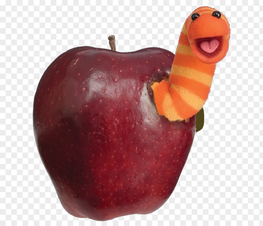 Apple With Worm Oscar The Grouch Mr. Snuffleupagus Enrique Telly Monster Slimey PNG
