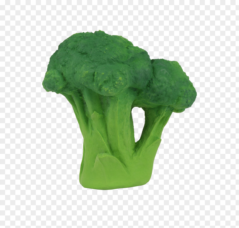 Broccoli Teether Vegetable Kale Child PNG