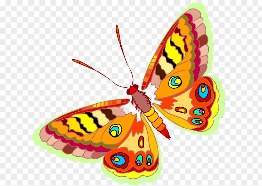 Get Clipart Butterfly Coloring Book Child Insect Drawing PNG