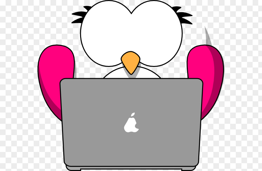 Pink Bird Laptop Owl Cartoon Clip Art PNG