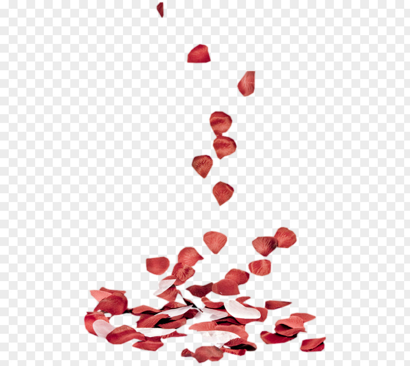 Rose Petal Heart Valentine's Day PhotoFiltre Love PNG