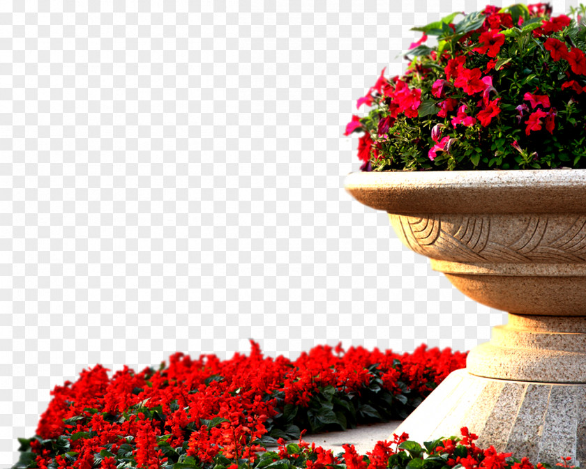 Garden Flower Bed With Red Flowers Roses PNG