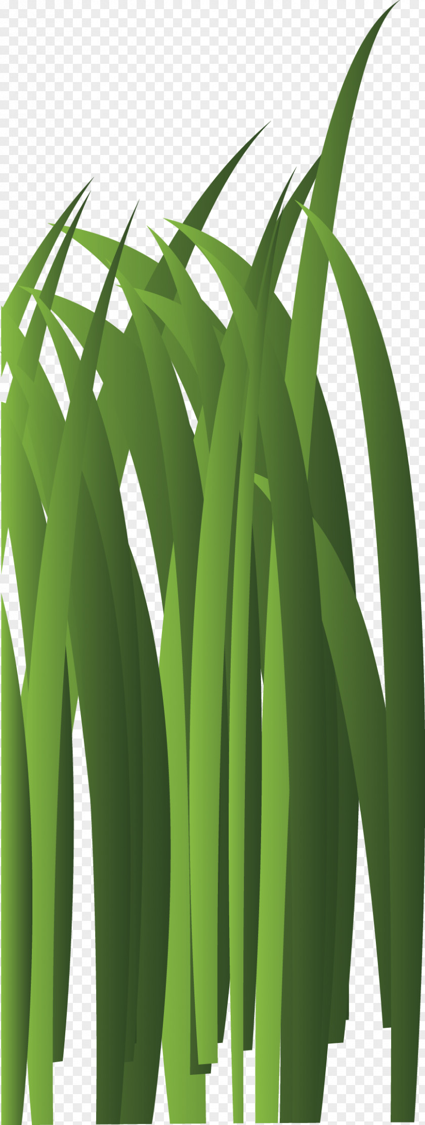 Green Grass Elements Bambusodae Leaf Plant Stem Tree PNG