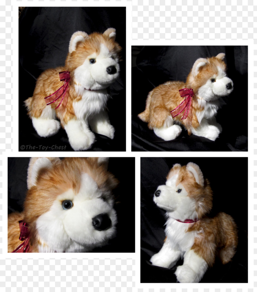 Husky Dog Pembroke Welsh Corgi Siberian Icelandic Sheepdog Puppy Stuffed Animals & Cuddly Toys PNG