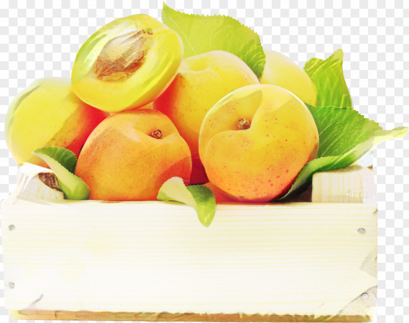 Nectarine Apricot Vegetable Cartoon PNG