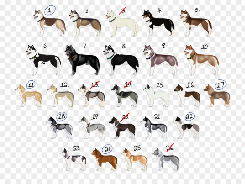 Siberian Husky Dog Cattle Wildlife Animal Font PNG