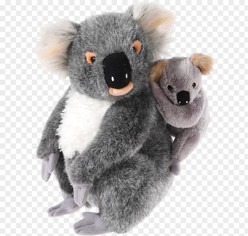 Baby Koala Bear Stuffed Animals & Cuddly Toys Infant HEUNEC Gmbh Co.KG PNG