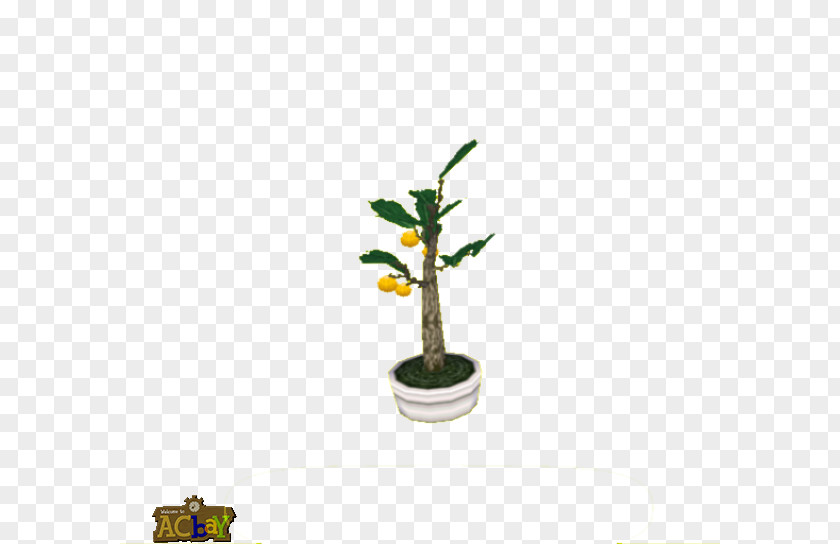 Flowerpot Houseplant Plant Stem PNG