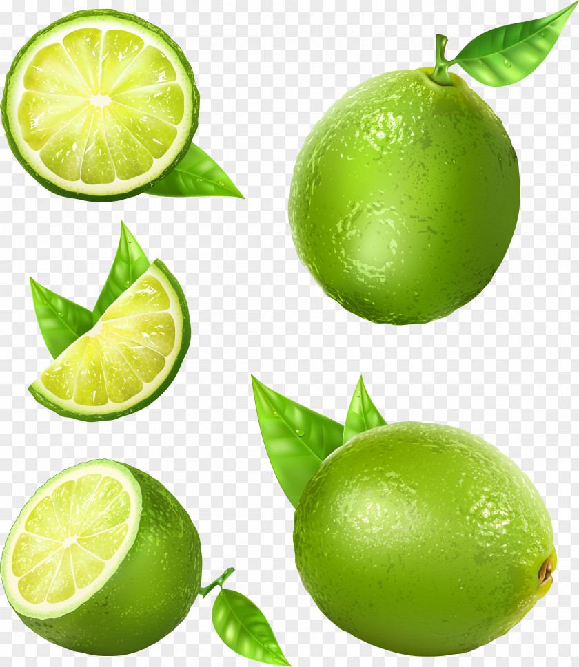 Lime Lemon Juice PNG