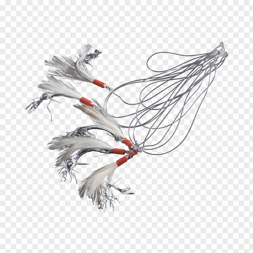 Mackerel Tail Feather PNG