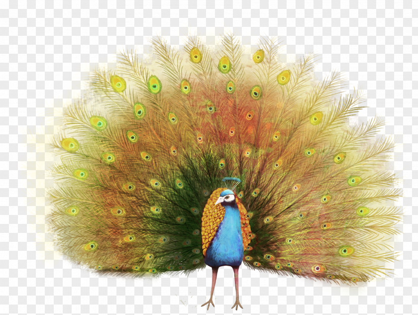 Peacock Sticker Peafowl Paper PNG