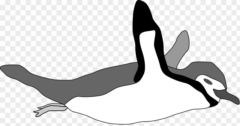 Penguins Penguin Swimming Clip Art PNG