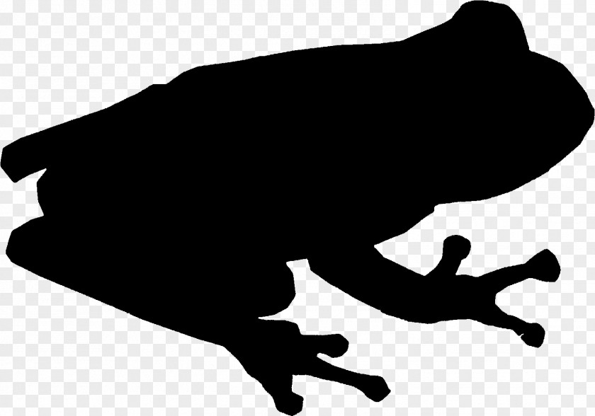 Clip Art Silhouette Carnivores Black M PNG