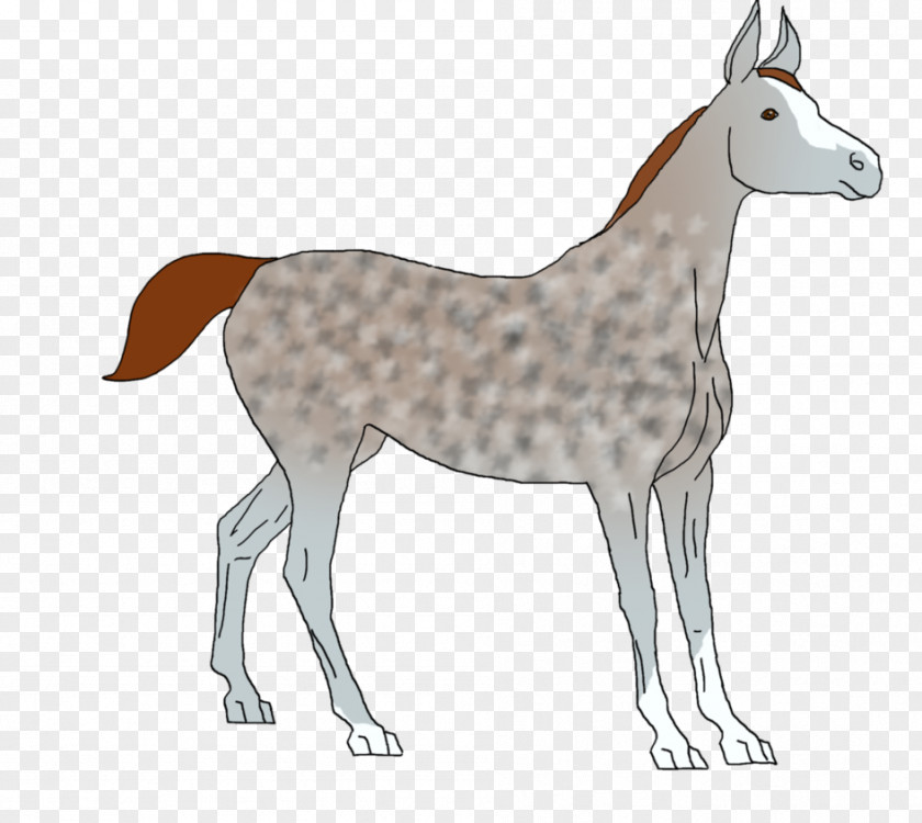Dog Breed Mule Mustang Foal Donkey PNG