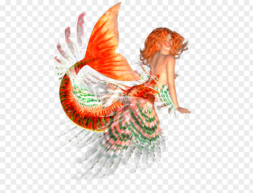 Fairy Post Mermaid Photograph Illustration PNG