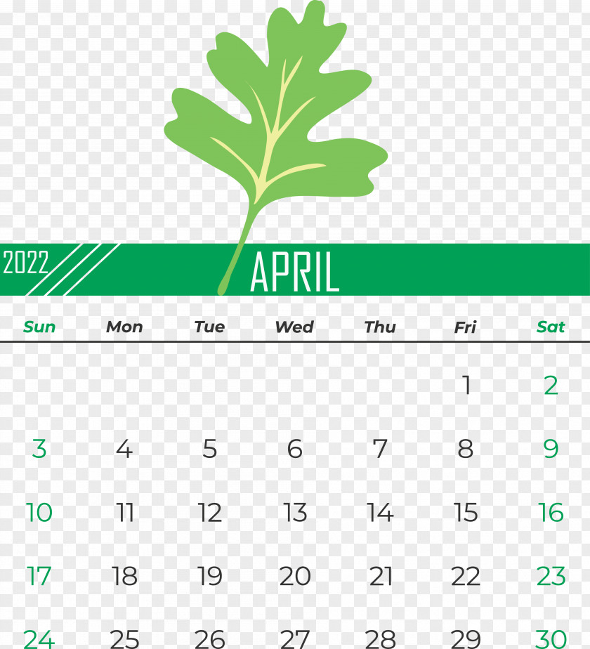 Icon Drawing Computer Calendar PNG