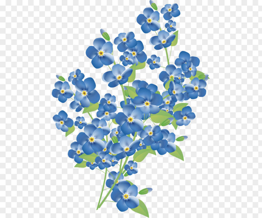 Flower Myosotis Stricta Watercolor Painting Clip Art PNG