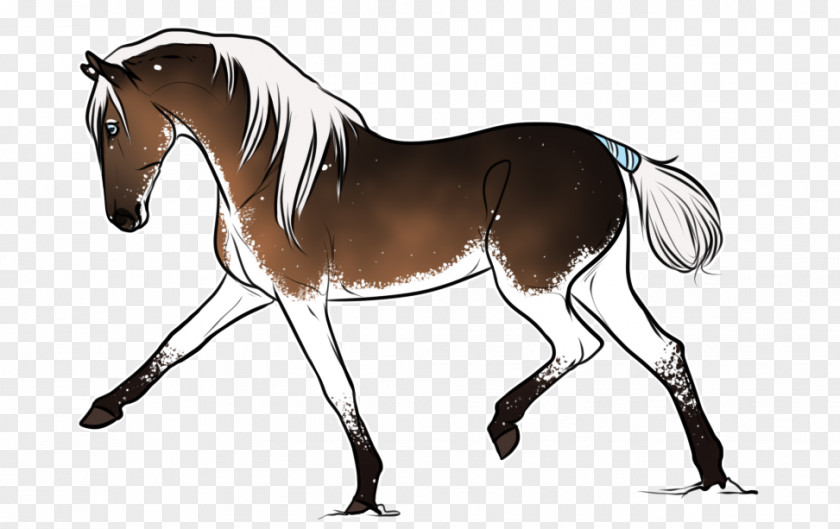 Horse Foal Mane Stallion Bridle PNG