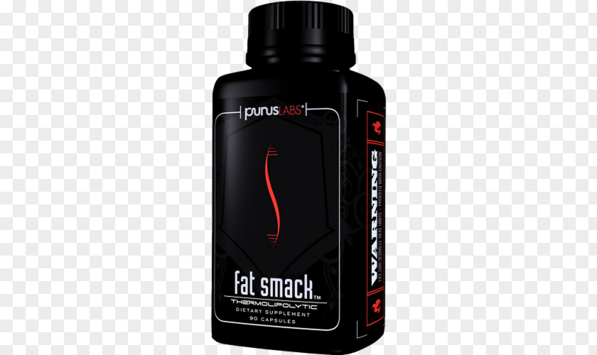 Xr Labs Dietary Supplement Weight Loss Fat Emulsification Health Amino Acid PNG