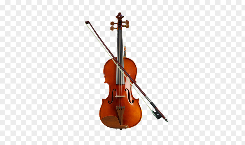 Bowed Violin Cello Musical Instrument Viola Luthier PNG