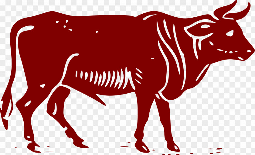 Bull Cattle Clip Art PNG