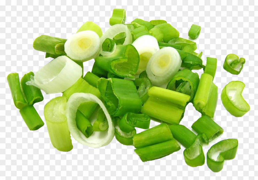 Onions Onion Scallion Stock Photography Vegetable PNG