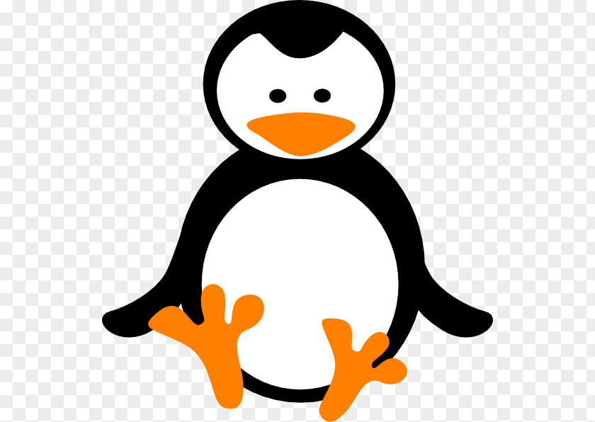 Smile Bird Penguin Cartoon PNG