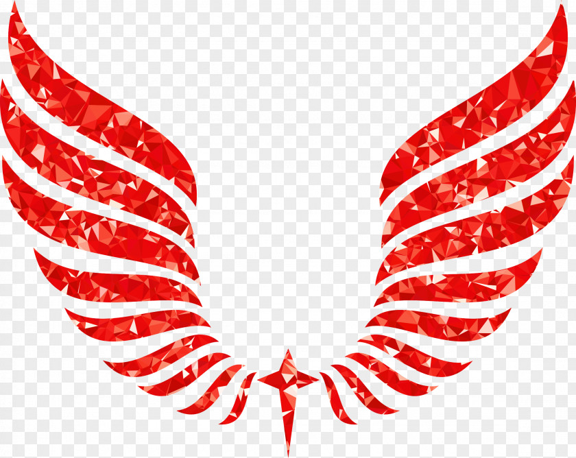 Wings Drawing Clip Art PNG