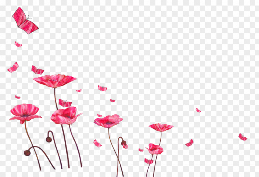 Blossom Wildflower Watercolor Floral Background PNG