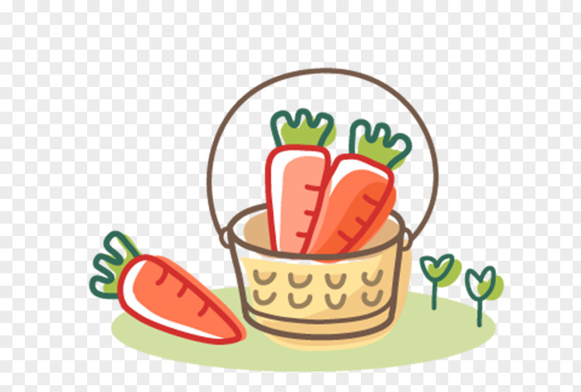 Carrot Vegetable Radish Fruit PNG