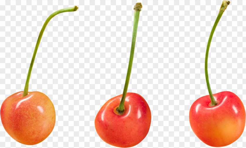 Cherry Image Superfood Paprika Capsicum PNG