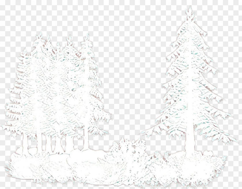 Colorado Spruce Christmas Decoration Tree PNG