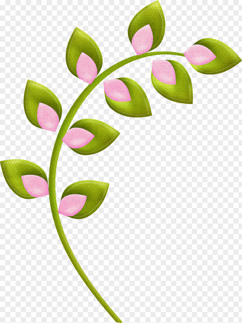 Flower Plant Leaf Pedicel Stem PNG