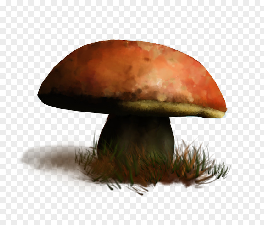 Mushroom Edible Fungus Medicinal Fungi Agaricus PNG