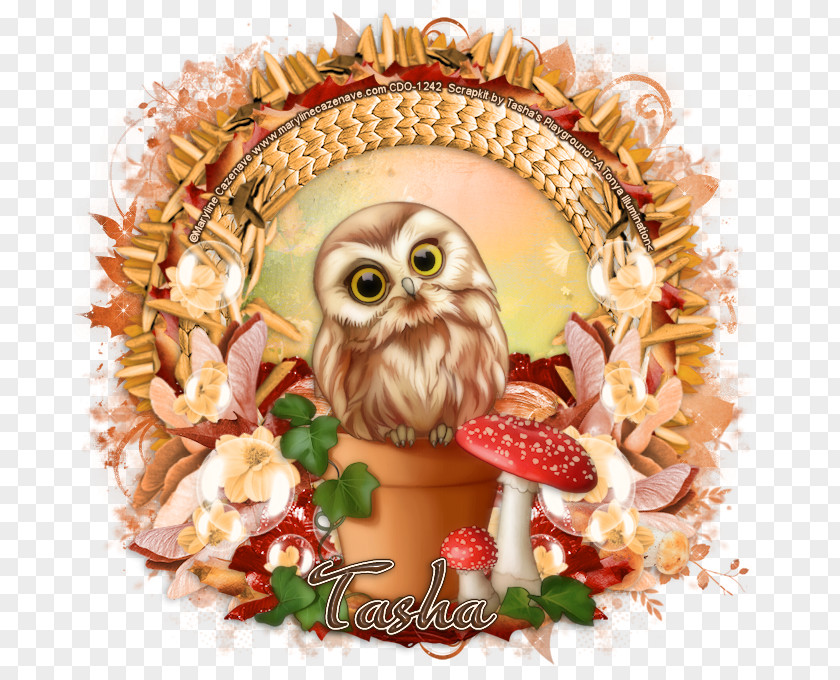 Owl Christmas Ornament Day Fruit PNG