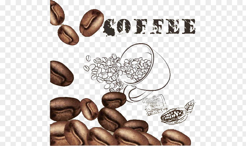 Coffee Beans And Cup Arabic Cafe Bean PNG