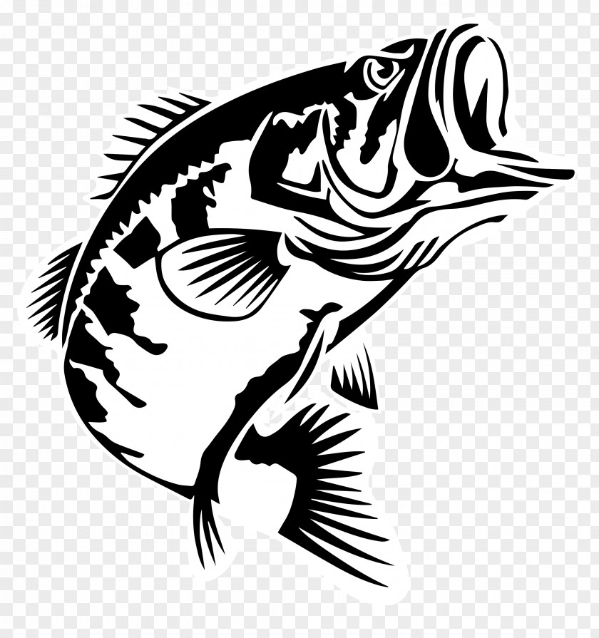 Fishing Bass Largemouth 2016 Bassmaster Classic Anglers Sportsman Society PNG